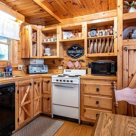 ピジョンフォージ Quaint & Secluded Near Dollywood With Bbq&Hot Tubヴィラ エクステリア 写真